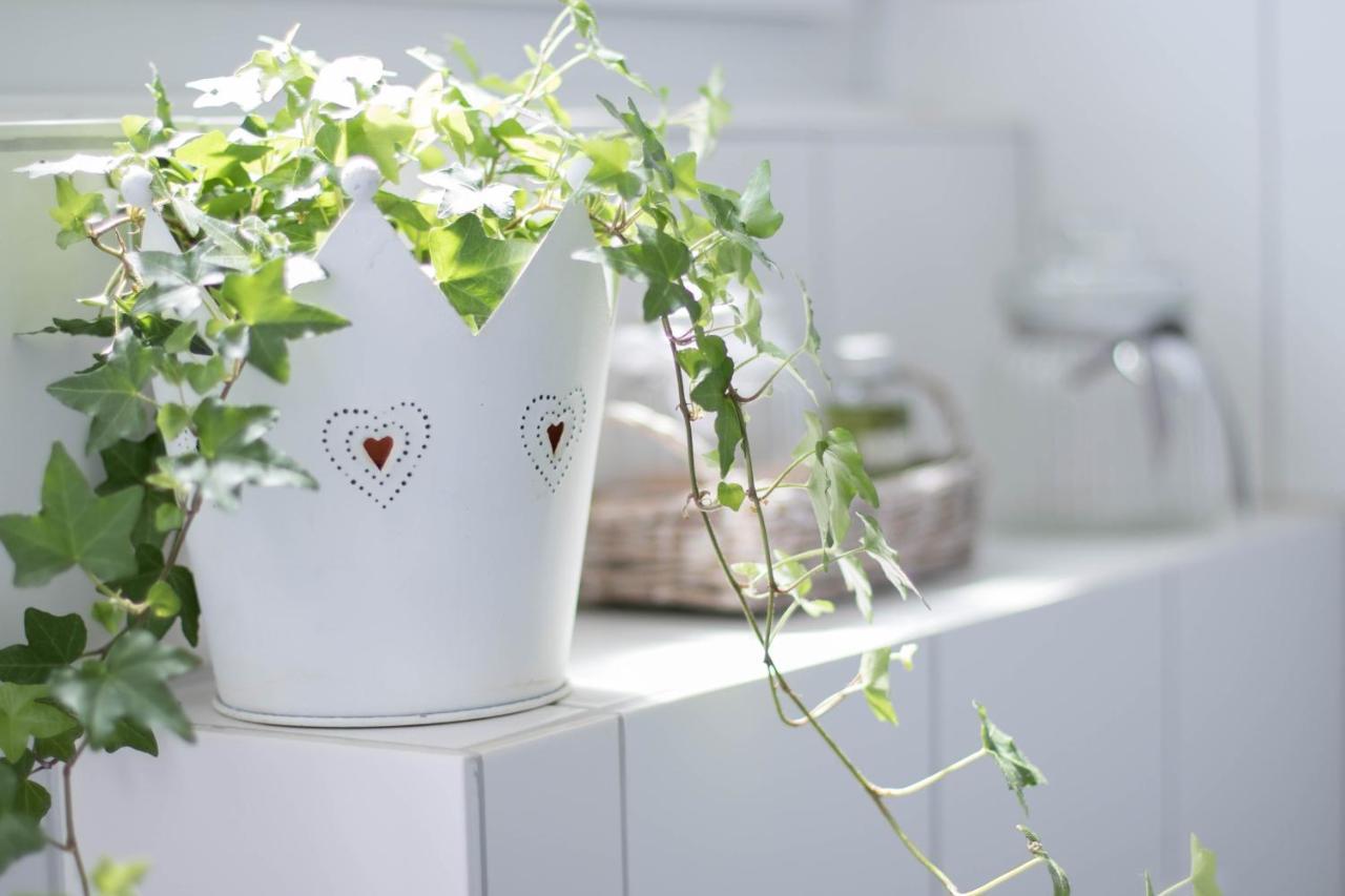 Nordic Im Deichhaus Apartment Husum  Bagian luar foto
